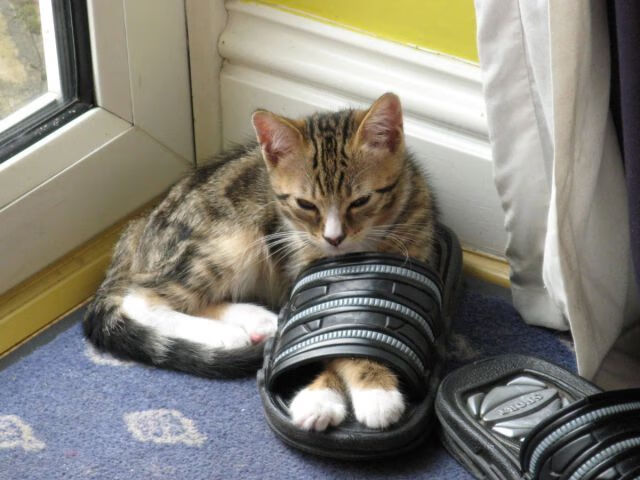 西甲德比烽火连天,威尔士奇迹智利之巅,绿茵场上的双线传奇