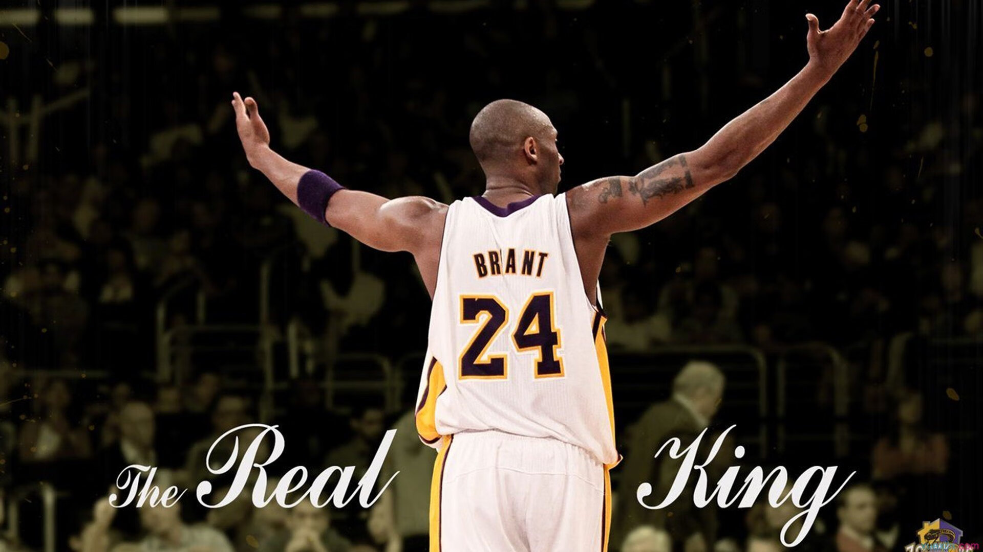 2026世界杯焦点战，快船狂胜黄蜂，篮球与足球的时空交响